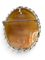 Brosche Mandile 1922 Dame Cammei  in Silber Conchiglia 2MSPCM188 - 2MSPCM188